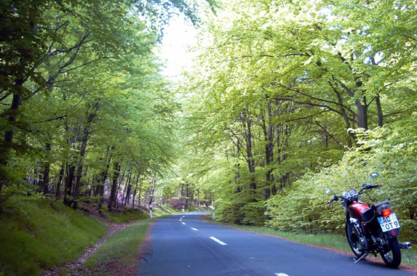 Eifel Mai 2005
Nhe Schwammenauel
